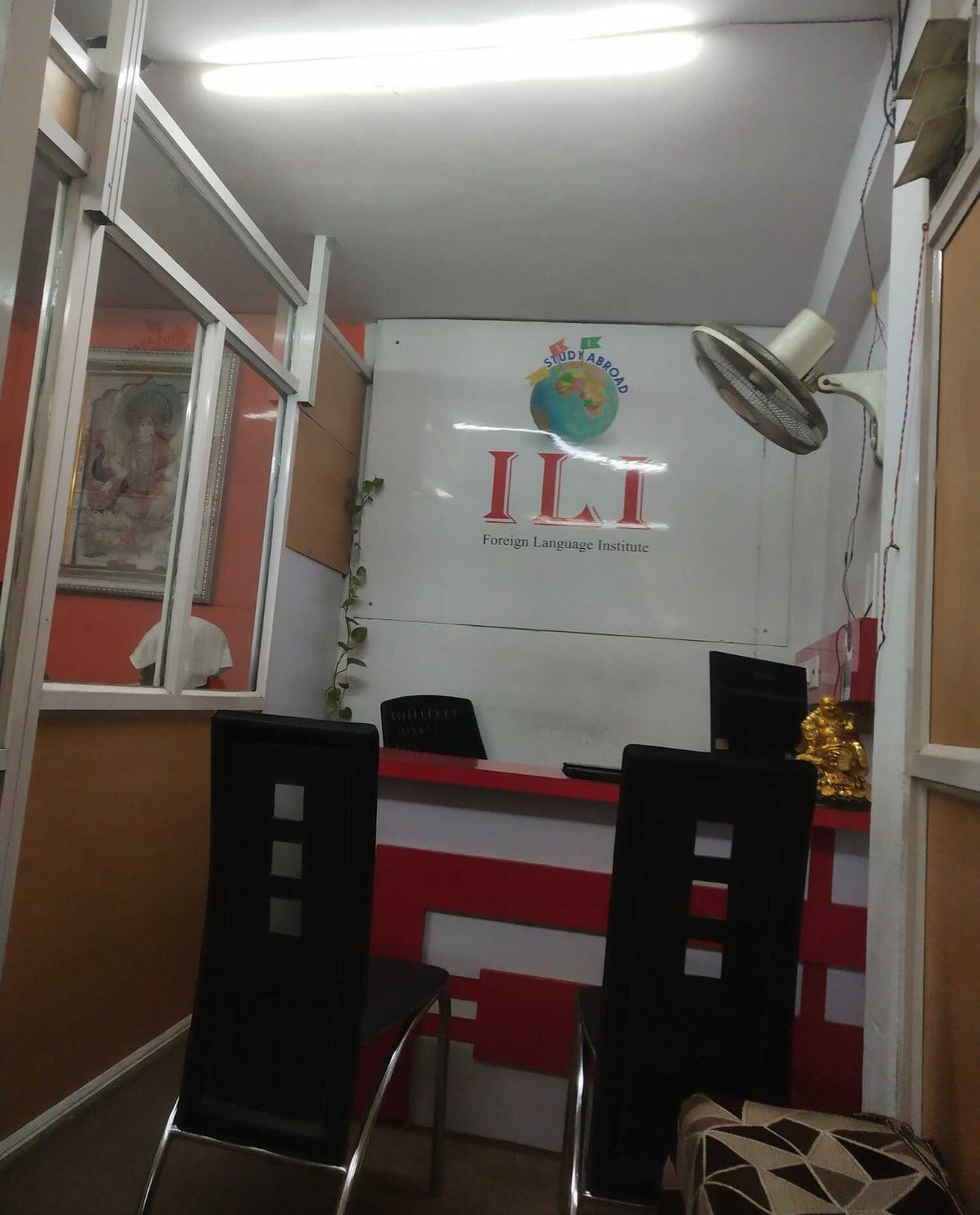 ILI Institute
